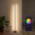 Bolt Electronics® Vloerlamp – Staande Lamp – Met App – Woonkamer – Zwart – Dimbaar – LED