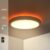 Slimme Plafondlamp – Gekleurd- en WitLicht – Opbouw – WiFi – Duo light – Applicatie en Stembediening – RGB+CCT – 35W – Boven en Onder Verlicht
