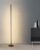 The Hall Light – Minimalistische Staande Lamp – Zwarte Vloerlamp – Dimbaar met afstandsbediening